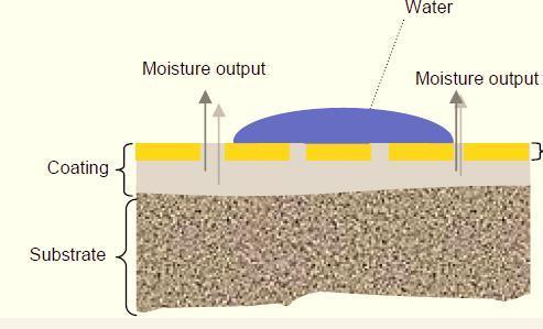 1566374081734345.jpg 圖片1